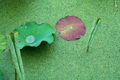 复古FPS《POST VOID》7＆21推出PS5＆PS4＆NS版